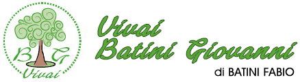 Vivai Batini Fabio
